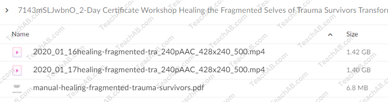 2-Day Certificate Workshop Healing the Fragmented Selves of Trauma Survivors: Transformational Approaches to Treating Complex Trauma By Janina Fisher - free download