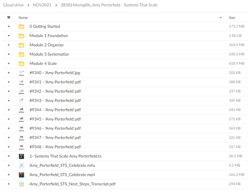 Systems That Scale By Amy Porterfield - free download
