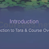 Awaken-Your-Heart-Creativity-Wisdom-with-Tara-Brach-free-download