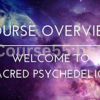 Sacred-Psychedelics-Everything-You-Need-To-Know-For-Life-Changing-Shamanic-Journeys-By-Chris-Kelly-free-download