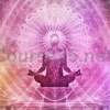 The-Chi-Circulation-Method-By-Sixty-Skills-free-download