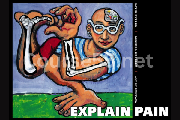 Explain-Pain-2nd-edition-By-Dr-David-S.-Butler-&-G.-Lorimer-Moseley-free-download
