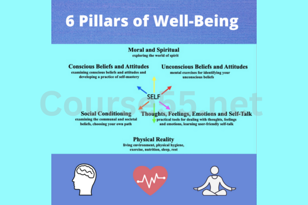 6-Pillars-of-Well-Being-By-Peter-Reznik-free-download