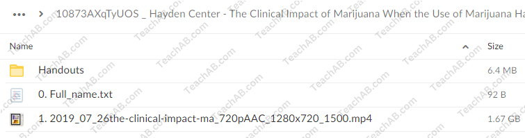 The Clinical Impact of Marijuana: When the Use of Marijuana Has Gone Too Far By Hayden Center - free download