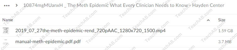 The Meth Epidemic: What Every Clinician Needs to Know By Hayden Center - free download