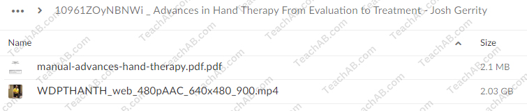 Advances in Hand Therapy: From Evaluation to Treatment By Josh Gerrity - free download