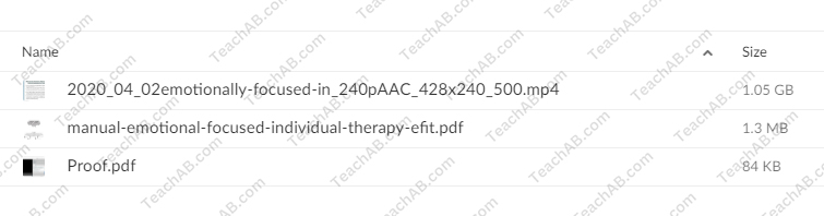 Emotionally Focused Individual Therapy (EFIT): Attachment-based Interventions to Treat Trauma, Anxiety and Depression By Susan Johnson - free download
