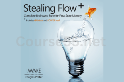 Stealing-Flow-Gamma-By-Douglas-Prater-iAwake-Technologies-free-download
