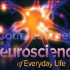 Neuroscience-of-Everyday-Life-By-Sam-Wang-free-download