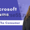 Microsoft-Teams-for-the-Consumer-By-Allison-Gonzales-Pragmatic-Works-free-download