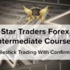 Star-Traders-Forex-Intermediate-Course-I-By-Karen-Foo-free-download