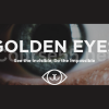 Golden-Eyes-By-Hooman-Golden-Pip-Generator-free-download