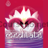 Meditate-with-the-Himalayan-Masters-MP3s-By-Swami-Veda-Bharati-free-download