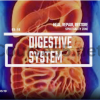 Clear-and-Cleanse-L1-L2-&-L3-Pain-Body-Advanced-By-Spirituality-Zone-free-download