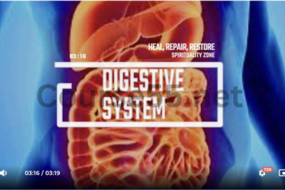 Clear-and-Cleanse-L1-L2-&-L3-Pain-Body-Advanced-By-Spirituality-Zone-free-download
