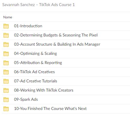 TikTok Ads Course: Grow Your Brand With TikTok Advertising By Savannah Sanchez - free download