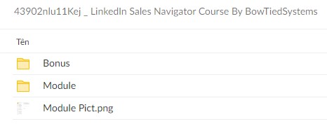LinkedIn Sales Navigator Course By BowTiedSystems - free download