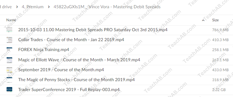 Mastering Debit Spreads By Vince Vora - free download