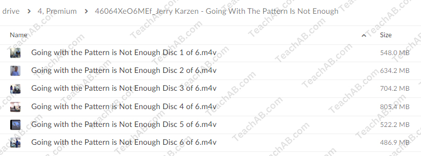 Going With the Pattern Is Not Enough By Jerry Karzen - free download