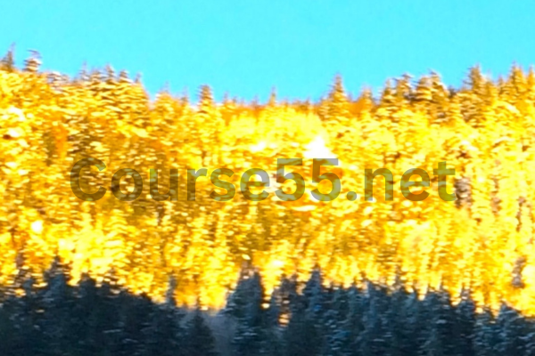 Living-Prosperity-From-The-Core-(Package-A)-By-Arathi-Ma-free-download
