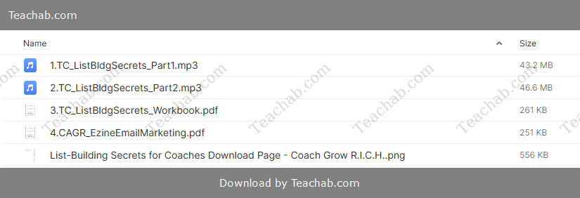 List Building Secrets for Coaches By Michelle Schubnel - free download
