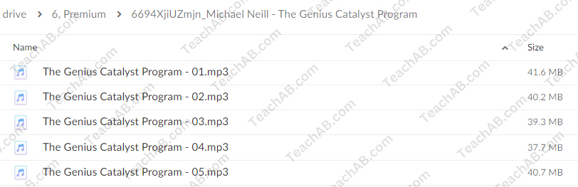 The Genius Catalyst Program By Michael Neill - free download