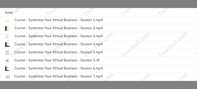 Systemize Your Virtual Business by Tim Francis - free download