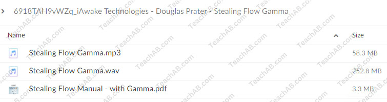 Stealing Flow Gamma By Douglas Prater - iAwake Technologies - free download