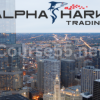Elliott-Wave-Rules-and-Observations-By-Alphashark-free-download