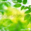 Soothing-Winds-Delta-by-Enlightened-Audio-free-download