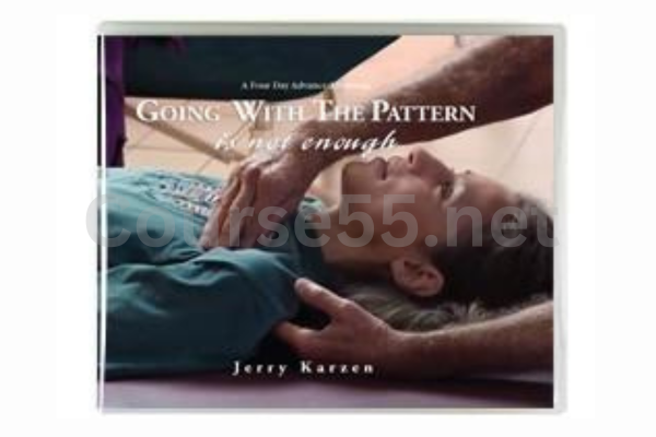 Going-With-the-Pattern-Is-Not-Enough-By-Jerry-Karzen-free-download