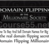 Domain-Flipping-by-The-Millionaire-Society-free-download
