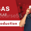 Introduction-to-SSAS-Tabular-By-Mitchell-Pearson-Pragmatic-Works-free-download