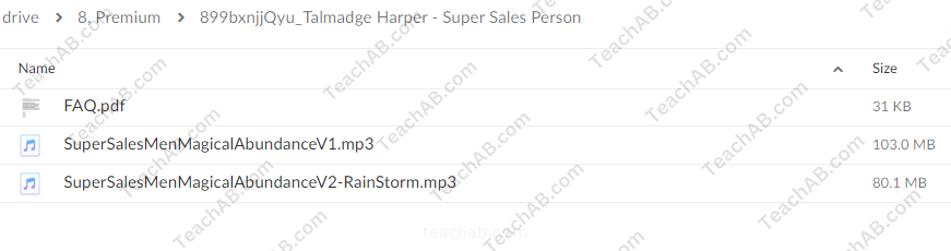 Super Sales Person: Amazing Business Attraction By Talmadge Harper - Harper Healing - free download