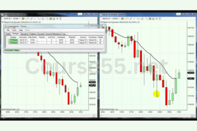 The-Beast-Automated-Trading-System-V2-Feb-2015-free-download